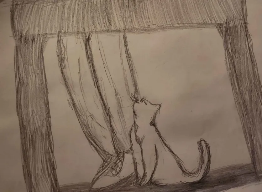 A cat hiding under a table next to a persone